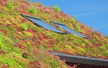 Ickleton living roof systems