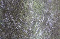 Ickleton fibreglass roof work